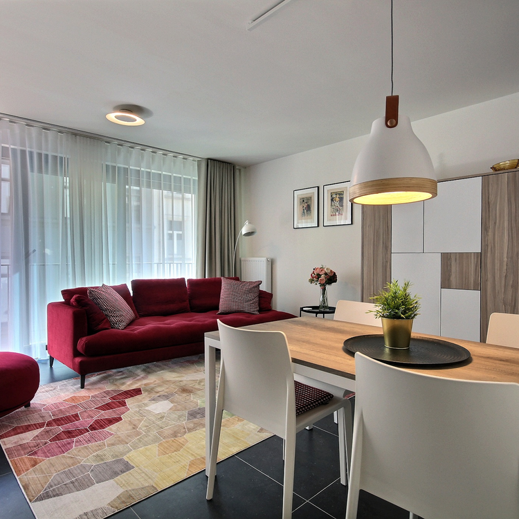 European district: Splendid furnished 1-beds new apartment