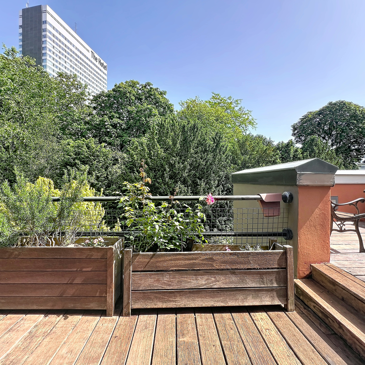 Rue aux Laines: Very bright 1-bed apartment with terrace