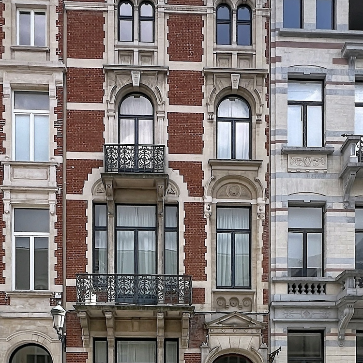 Rue aux laines: Magnificent house with garden